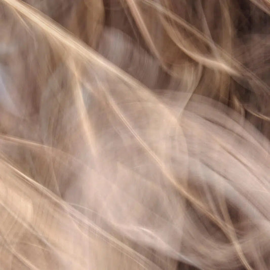 Sheer Joy, by Gillian Lindsay-PurePhoto