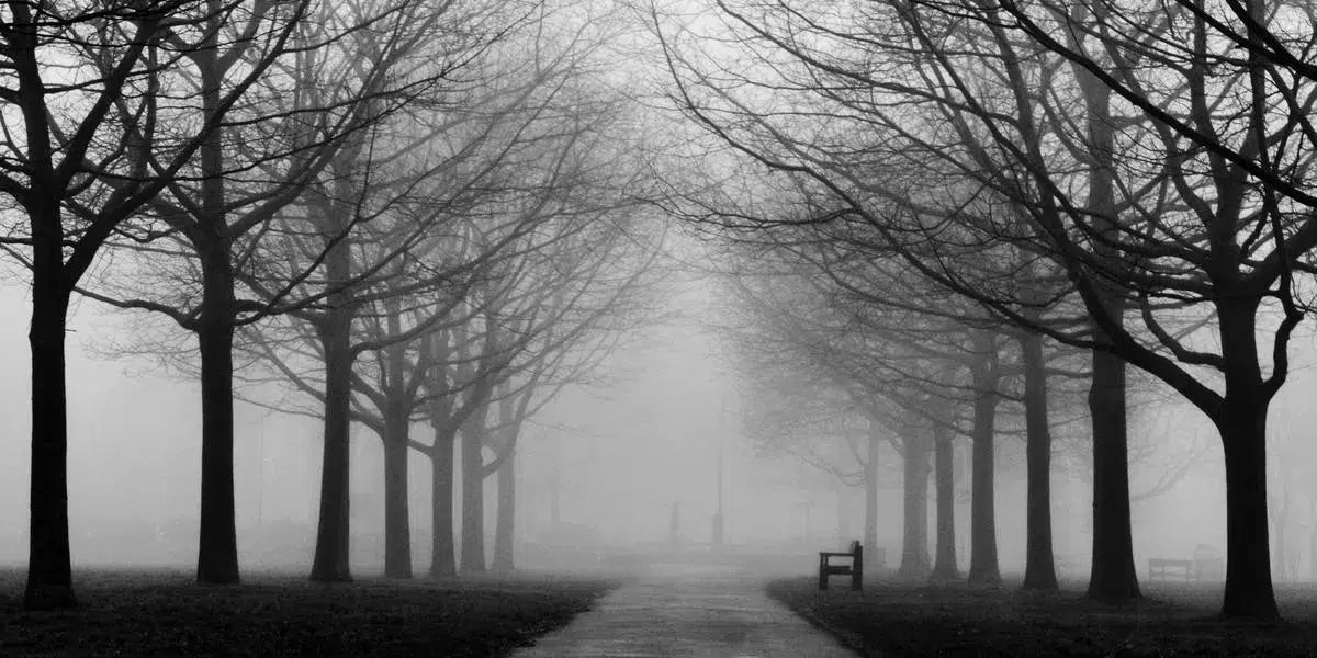 Shrouded, by Victoria Wise-PurePhoto