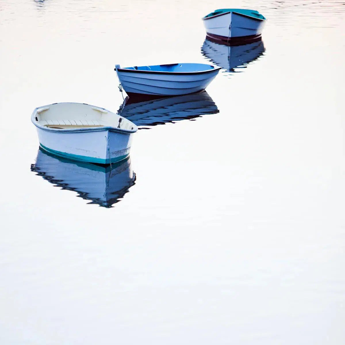 Silent Friends 2 , by Cory Silken-PurePhoto