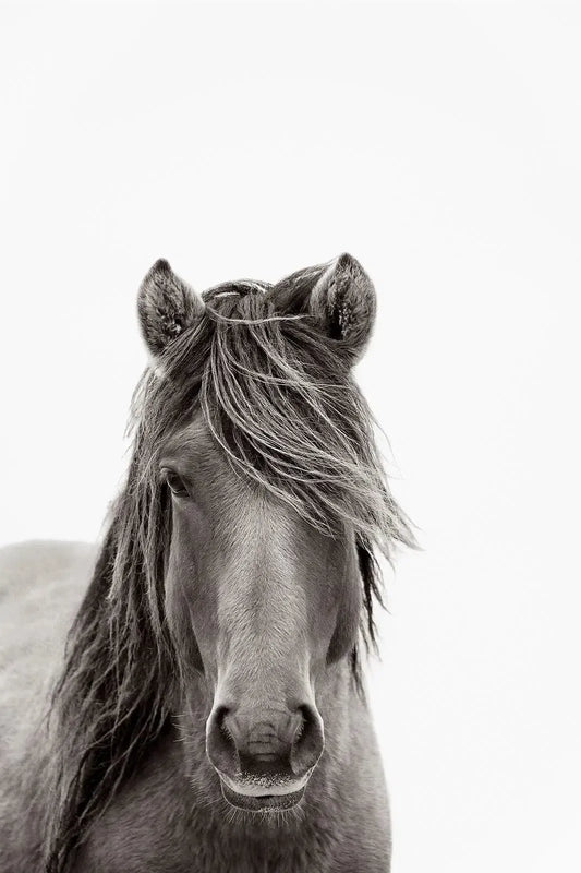 Silent Grace, by Drew Doggett-PurePhoto