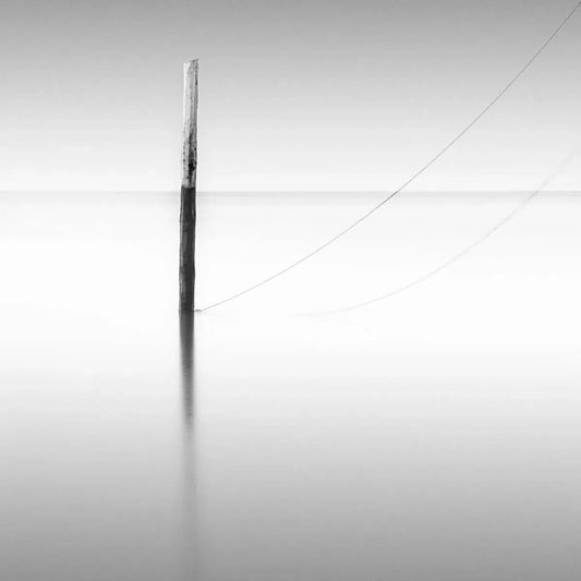 Simplicity, by Maggy Morrissey-PurePhoto