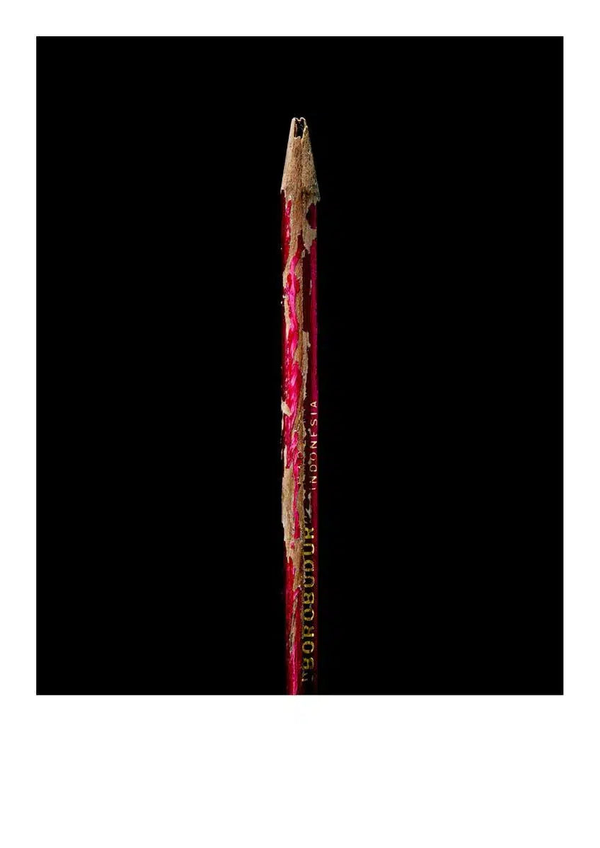 Sir Peter Scott's Pencil, from the "Secret Life Of Pencils" collection-PurePhoto