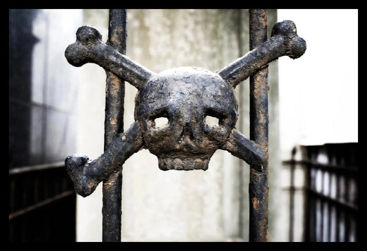 Skull at Recoleta Cemetery, Framed-PurePhoto