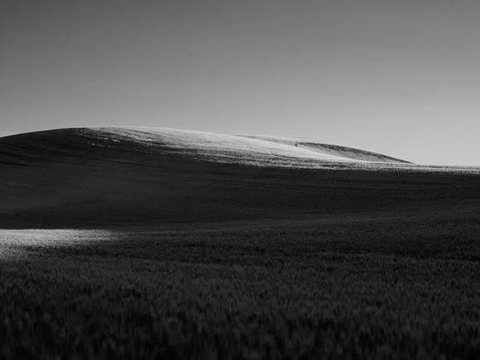 Sleeping Beauty, by Dale Hedden-PurePhoto