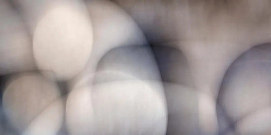Smooth Operator, by Gillian Lindsay-PurePhoto