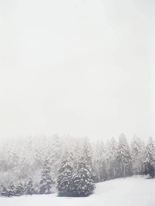 Snow Globe, by Erich McVey-PurePhoto