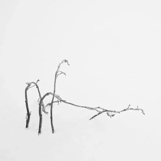 Snow Shapes Study 2, by Bryce Olsen-PurePhoto