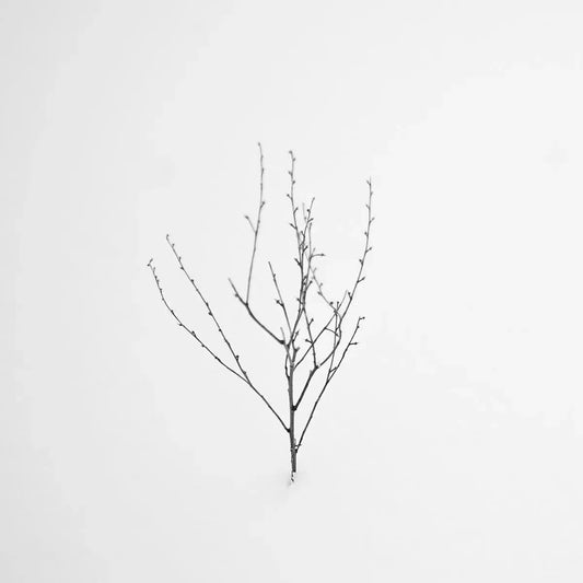 Snow Shapes Study 3, by Bryce Olsen-PurePhoto