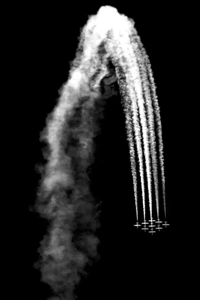 Snowbirds, by Mike Kelley-PurePhoto