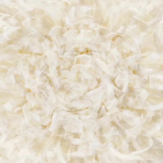 Soft White, by Gillian Lindsay-PurePhoto
