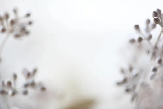 Soft, by Nicole Katano-PurePhoto