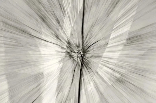 Speed Of Light, by Alex Axon-PurePhoto