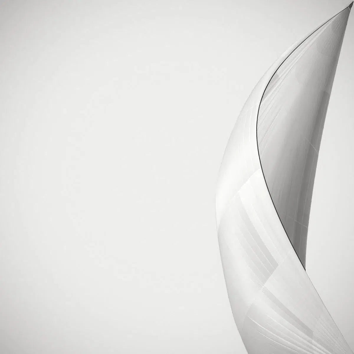 Spinnaker of Savanna, by Jonathan Chritchley-PurePhoto