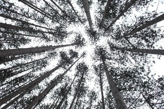 Spiral, by Michael Filonow-PurePhoto