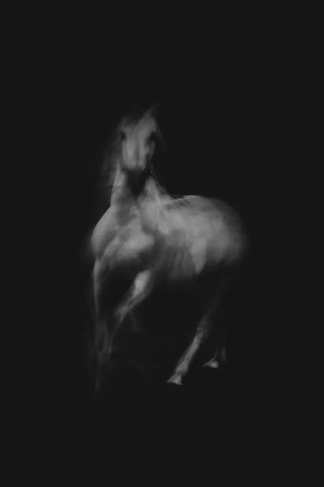 Spirit in the Dark 1, by Anna Archinger-PurePhoto