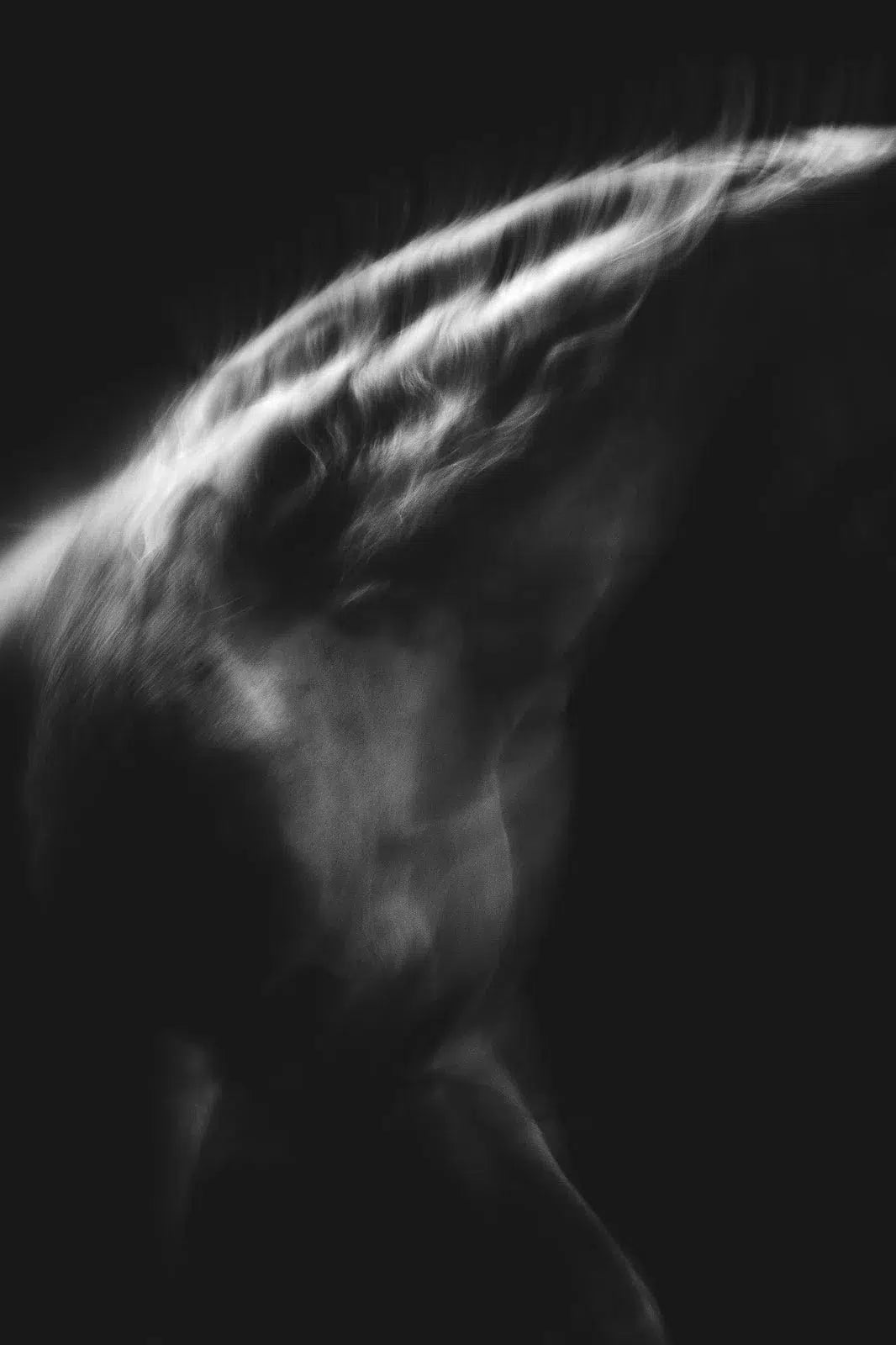 Spirit in the Dark 2, by Anna Archinger-PurePhoto