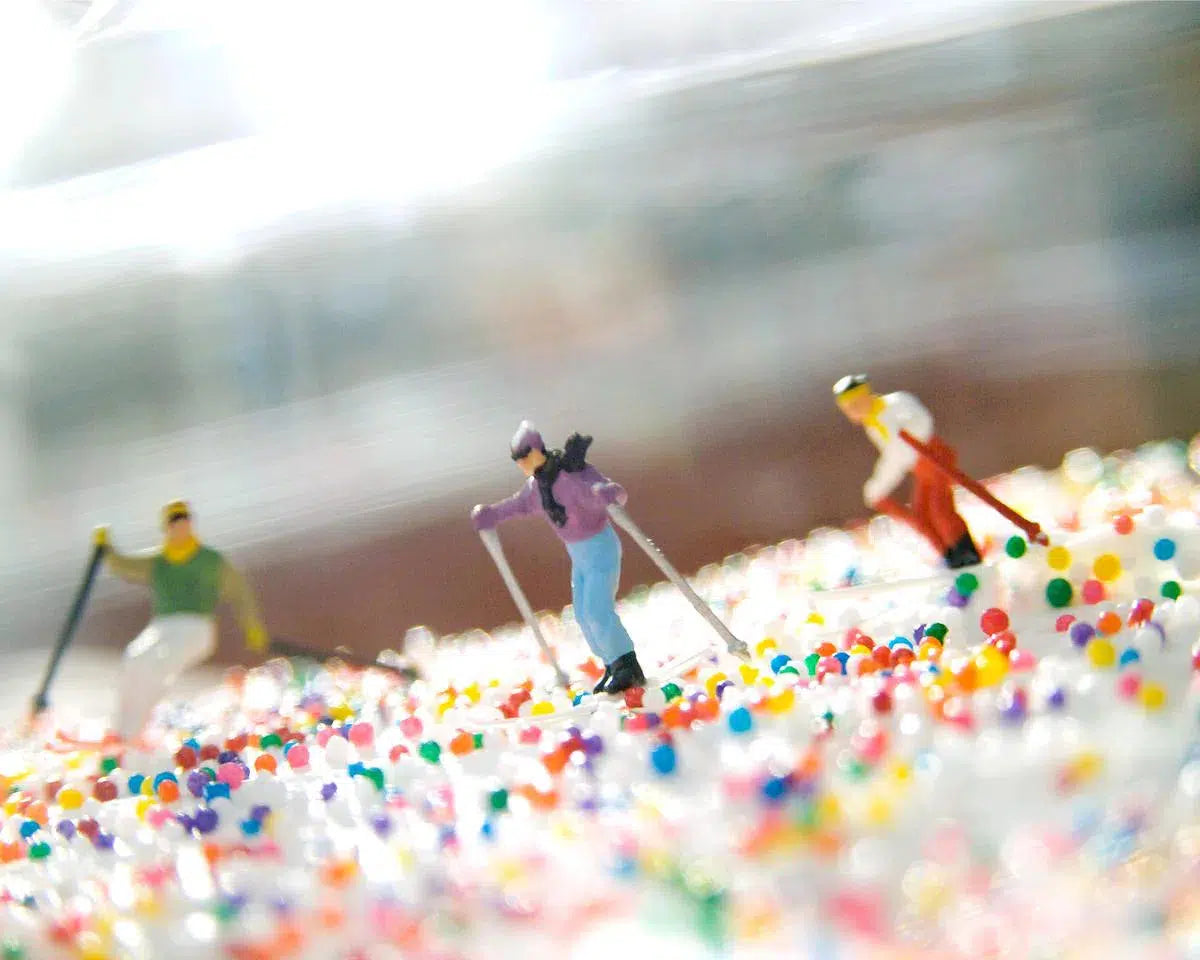Sprinkles, by Matthew Carden-PurePhoto