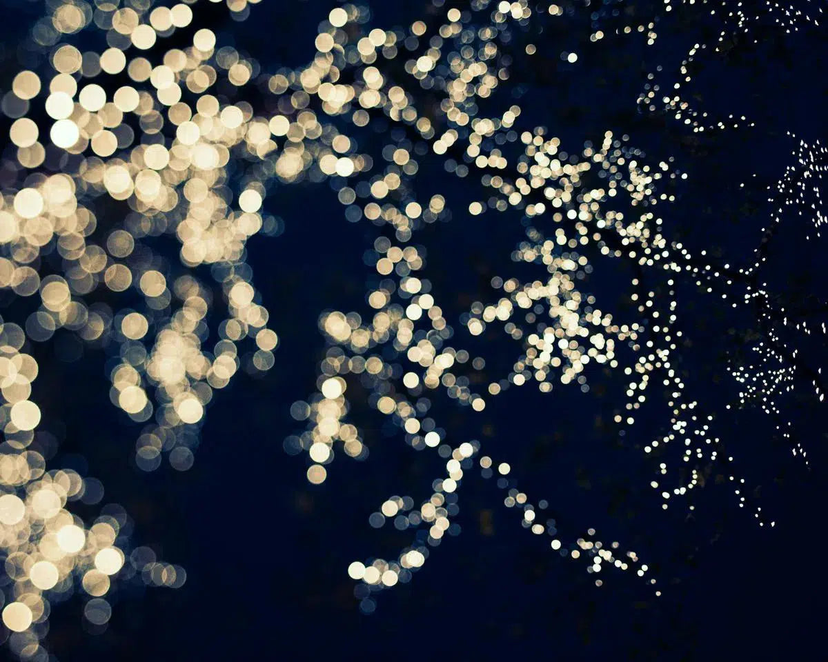 Starry Night, by Irene Suchocki-PurePhoto