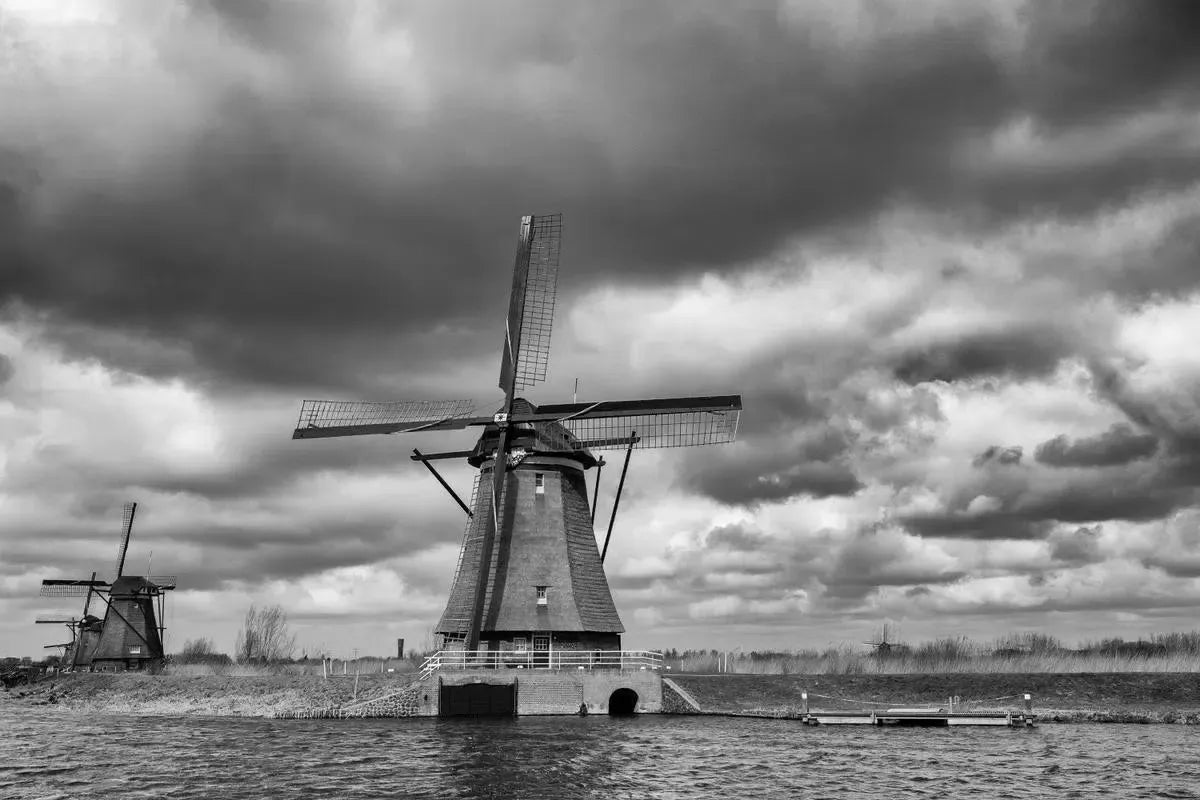 Steady State, by Jeremy Brooks-PurePhoto