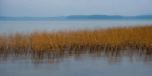Stillness of November, by Ari Salmela-PurePhoto