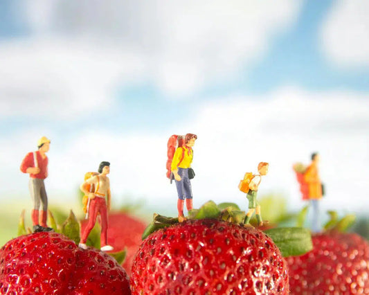 Strawberries, by Matthew Carden-PurePhoto