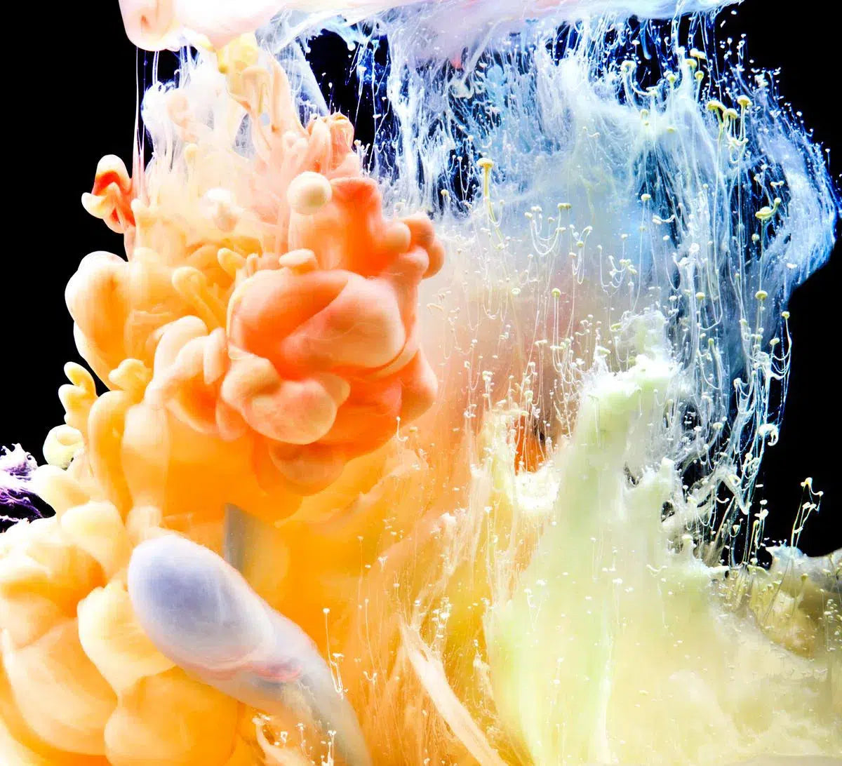 String Theory, by Javiera Estrada-PurePhoto