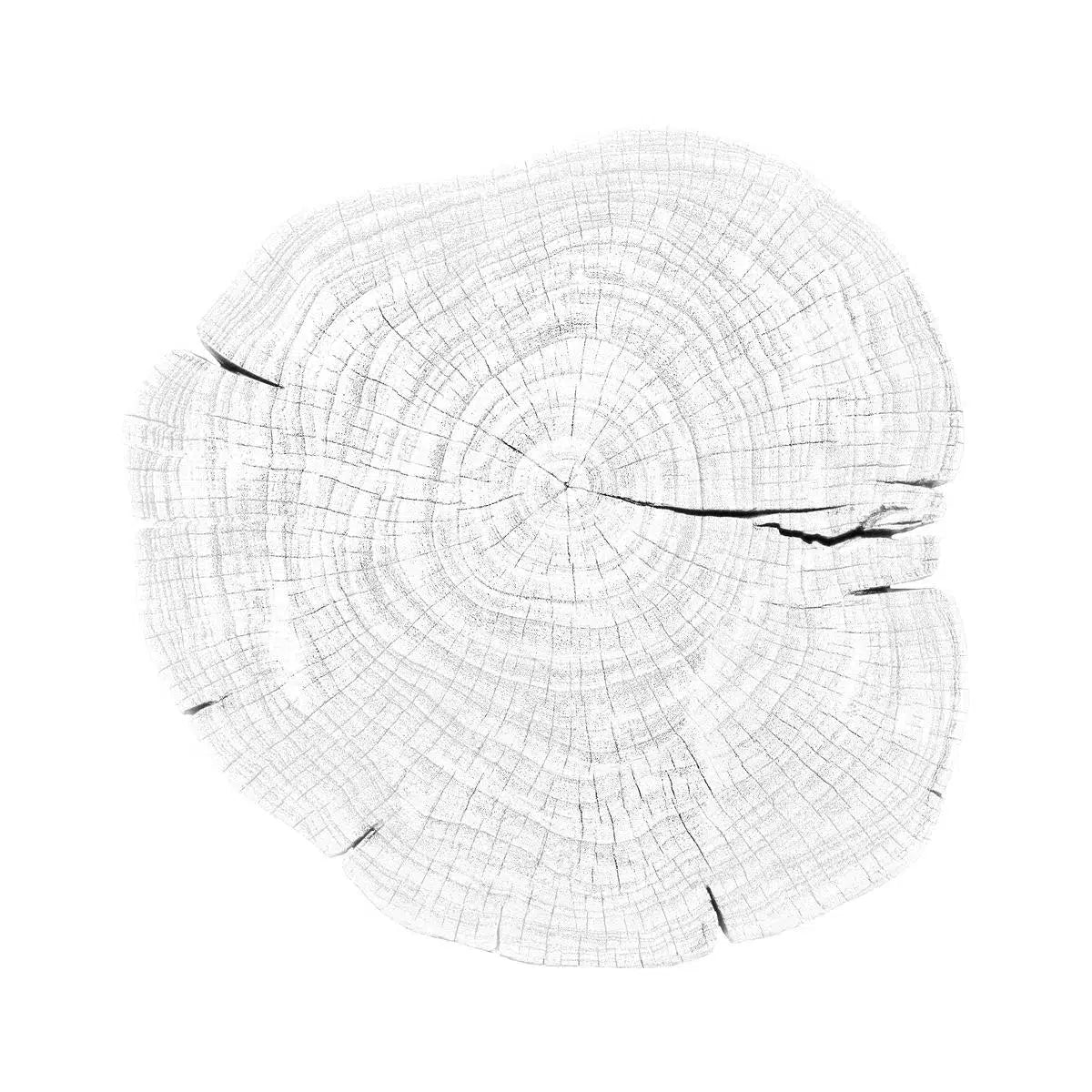 Stump 1 - Variation 11, by Trinette + Chris-PurePhoto