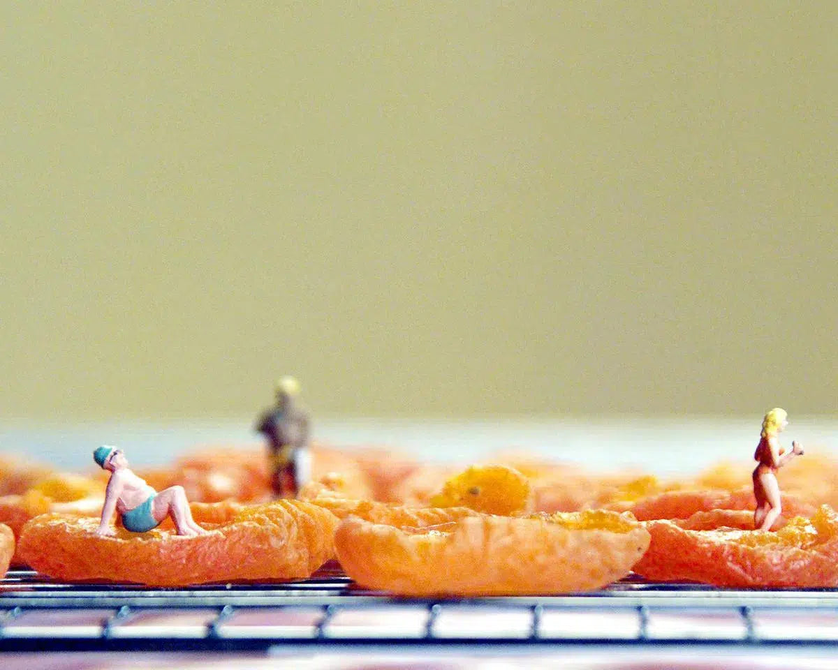 Sun Dried, by Matthew Carden-PurePhoto