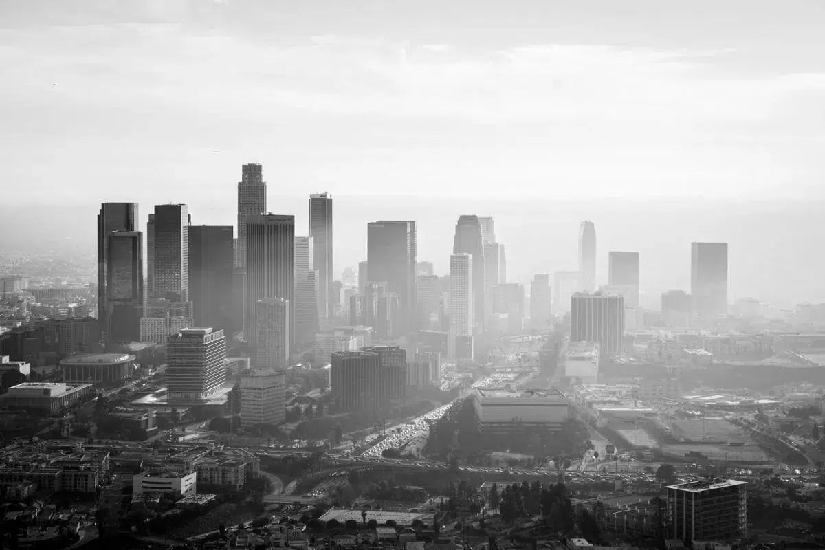 Suspended, by Mike Kelley-PurePhoto