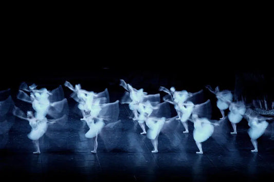 Swan Lake Study 1, by Alex Axon-PurePhoto
