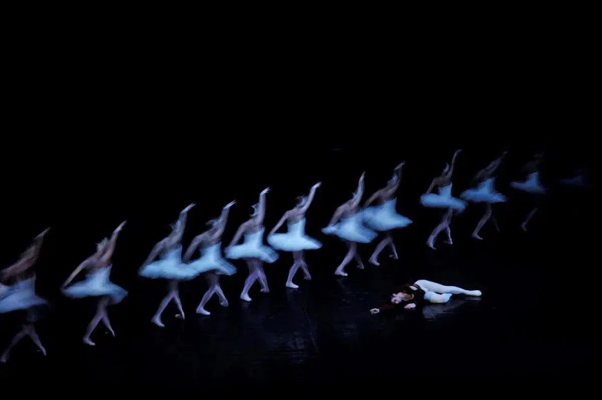 Swan Lake Study 4, by Alex Axon-PurePhoto
