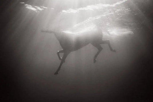 Symphony of Light, by Drew Doggett-PurePhoto