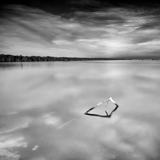TPG XII, by Tom McNulty-PurePhoto