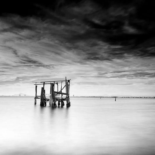 TPG XIII, by Tom McNulty-PurePhoto