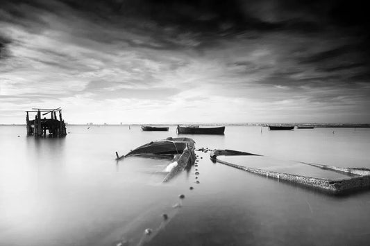 TPG XIV, by Tom McNulty-PurePhoto