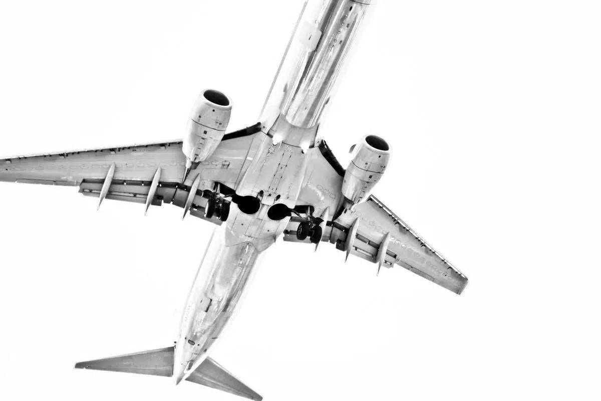 Take Off, by Mike Valdez-PurePhoto