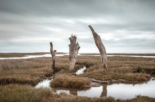 The Granary, by Anthony Lamb-PurePhoto