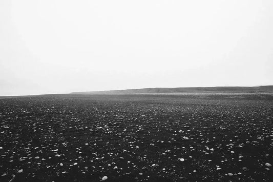 The Grey, by Simon Reif-PurePhoto
