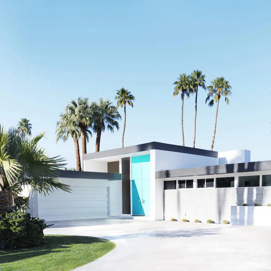 The Real Aqua Doors of Palm Springs, by Kelly & Fred-PurePhoto