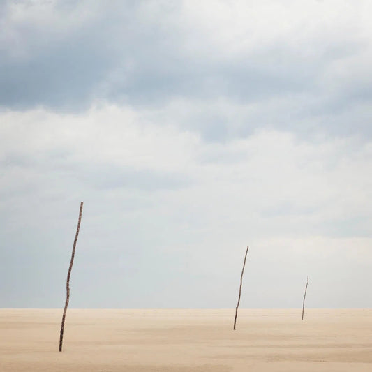 The Sandbank, by Maggy Morrissey-PurePhoto