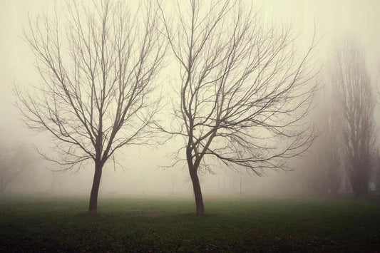 The Twins II, by Marco Virgone-PurePhoto