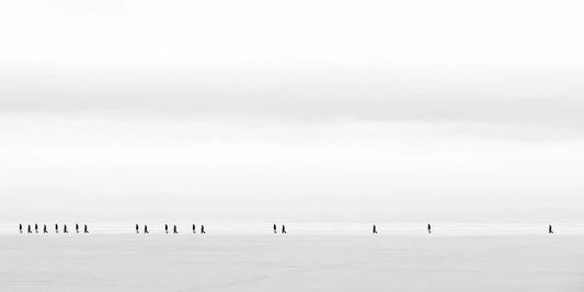 The White Hike, by Ari Salmela-PurePhoto