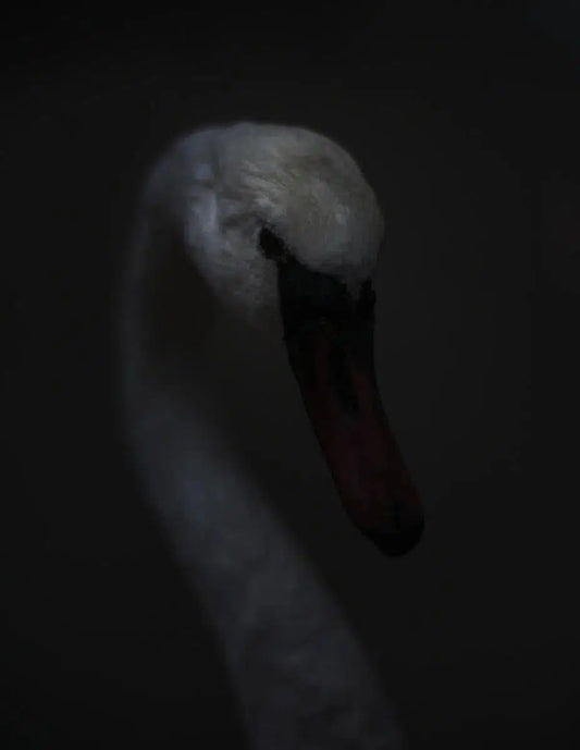 The wild form 1, by Maxim Mjödov-PurePhoto
