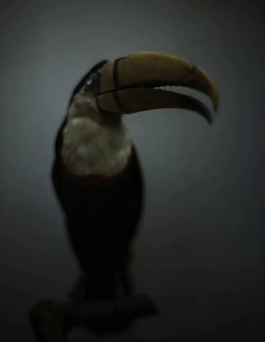 The wild form 2, by Maxim Mjödov-PurePhoto