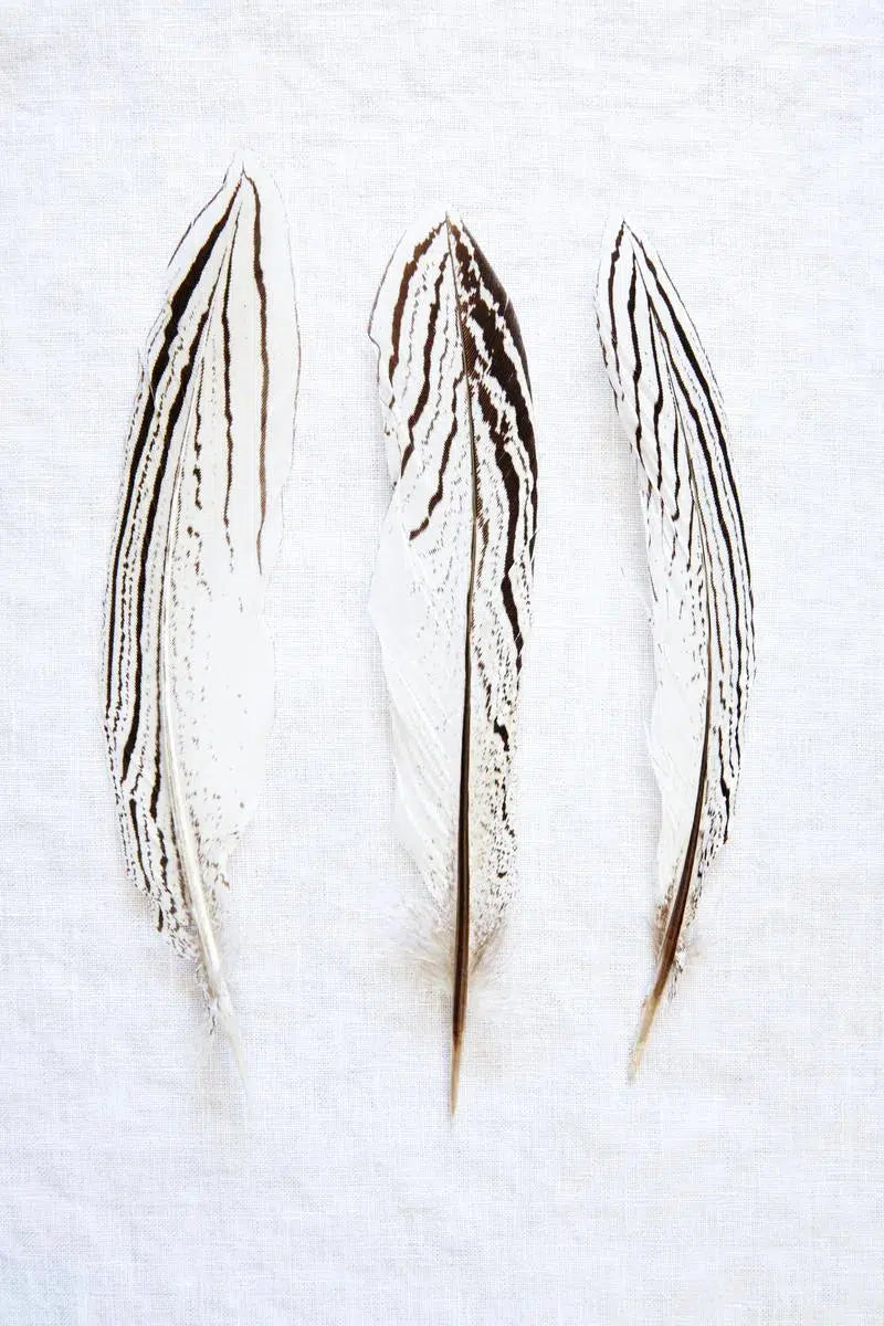 Three Feathers, by Trinette + Chris-PurePhoto
