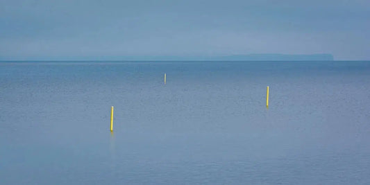 Three Yellows on Blue, by Ari Salmela-PurePhoto