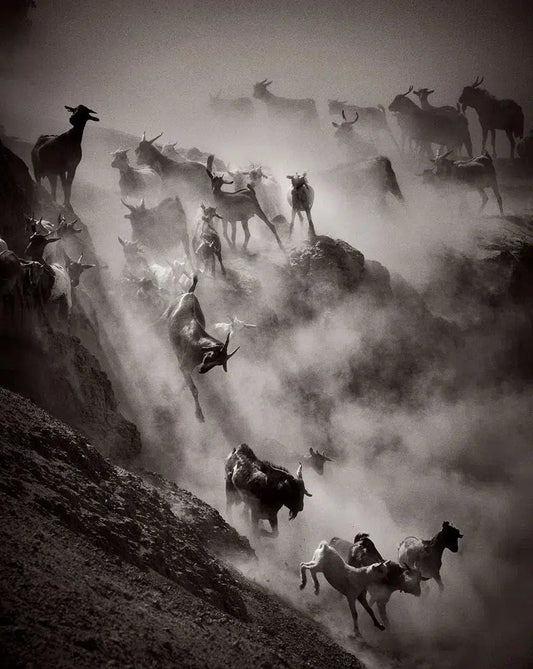 Thunder, by Drew Doggett-PurePhoto