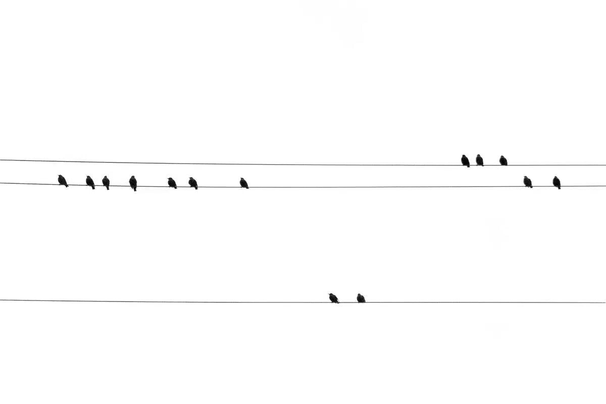 Time Out, by Grace Macqueen-PurePhoto