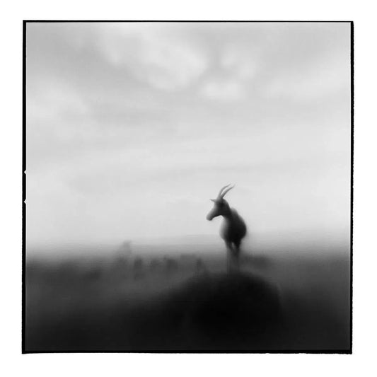 Topi Antelope II, by Paul Souders-PurePhoto