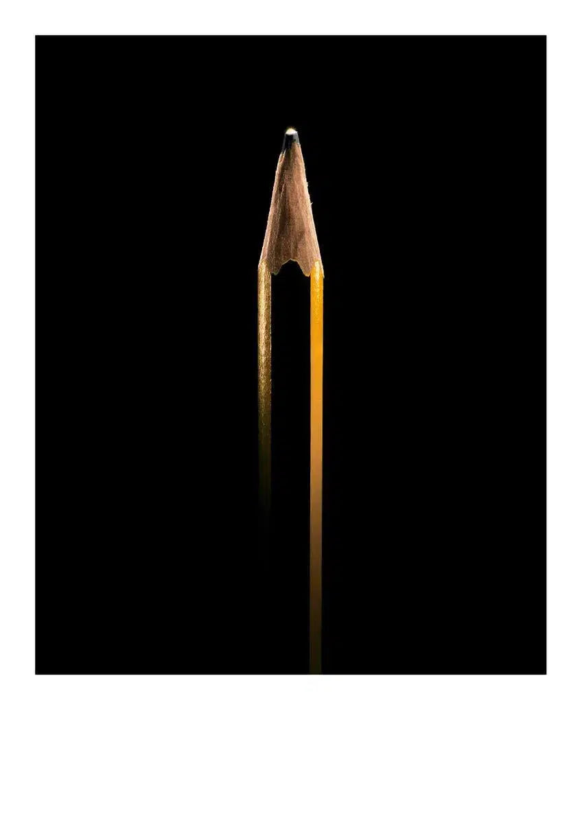 Tracey Emin CBE's Pencil #2, from the "Secret Life Of Pencils" collection-PurePhoto